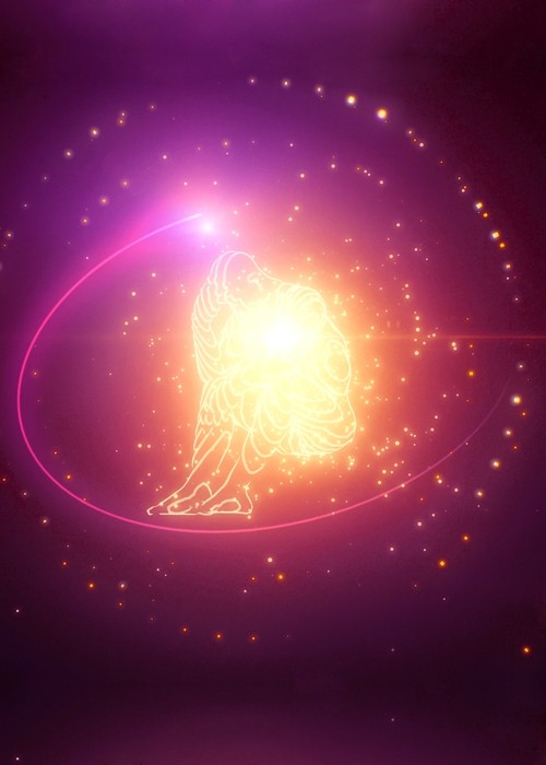 Apply for the P.E.C.A. programme