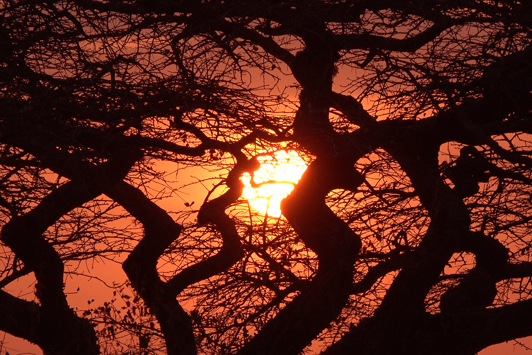 Vabilo na intimno predstavo - ogled filma Maasai - the joy