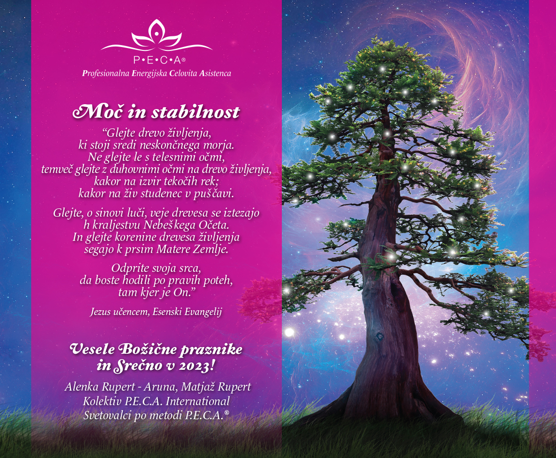 Božično-novoletno voščilo 2022/23