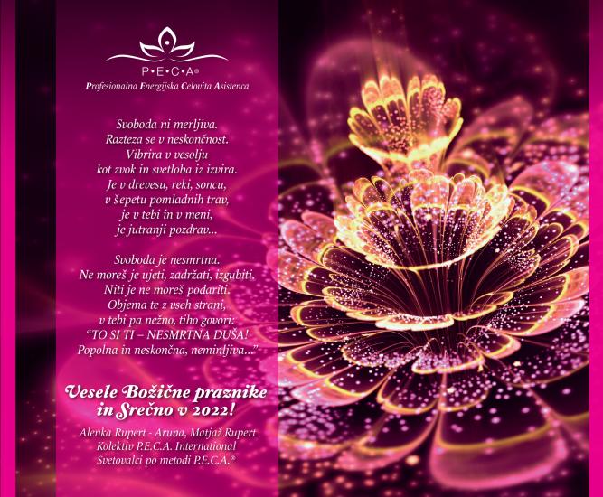 Božično-novoletno voščilo 2021/22